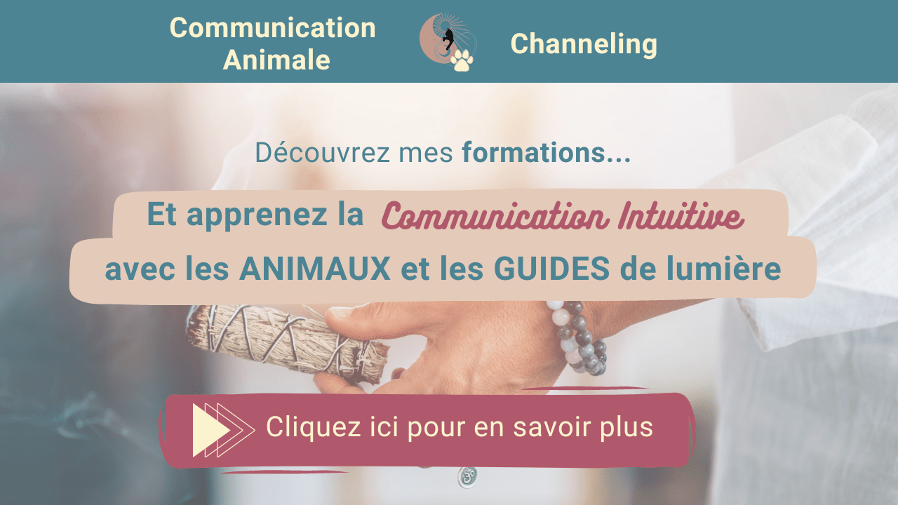 Formation communication animale et channeling